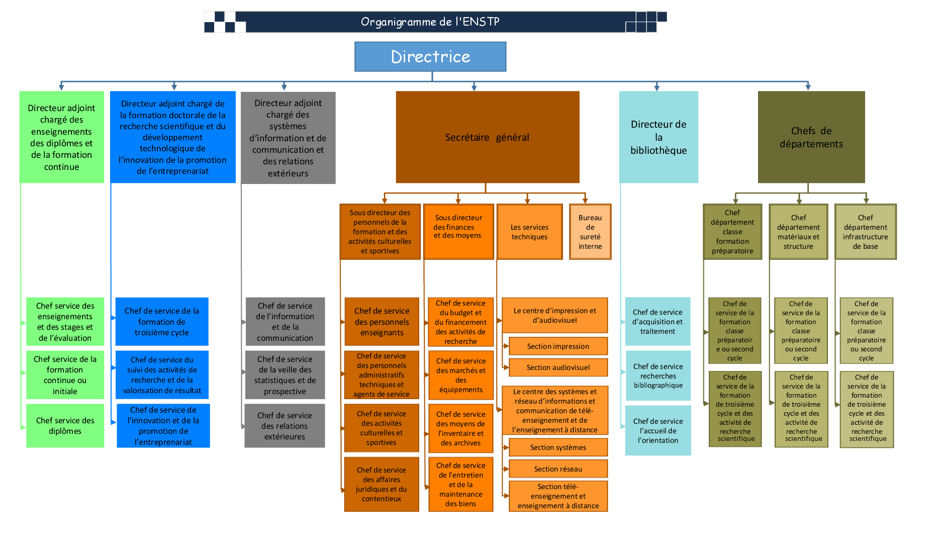 organigramme ENSTP